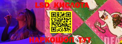 стафф Донской