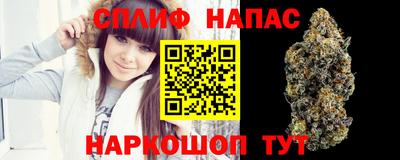 стафф Донской
