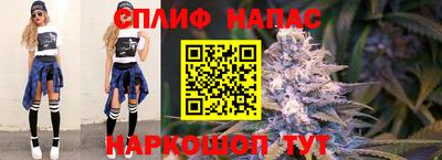 стафф Донской
