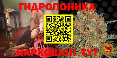 jwh Дубна
