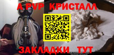 стафф Донской