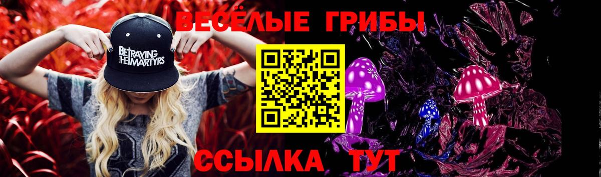 Галлюциногенные грибы Cubensis Магадан